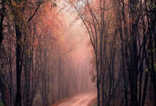 九游娱乐网站-摩纳哥客场取胜马赛,法甲中游战队脱颖而出