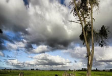 九游app下载-布宜诺斯艾利斯独立中场大将伤愈复出,战西悉尼流浪者阵容稳固