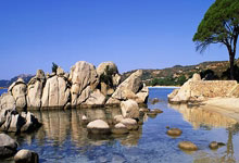 九游娱乐app下载-商海暗战：那双看不见的手