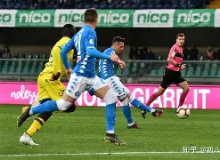 关于图卢兹球员齐心合力,全力以赴备战比赛的信息 关于图卢兹球员齐心合力,全力以赴备战比赛的信息