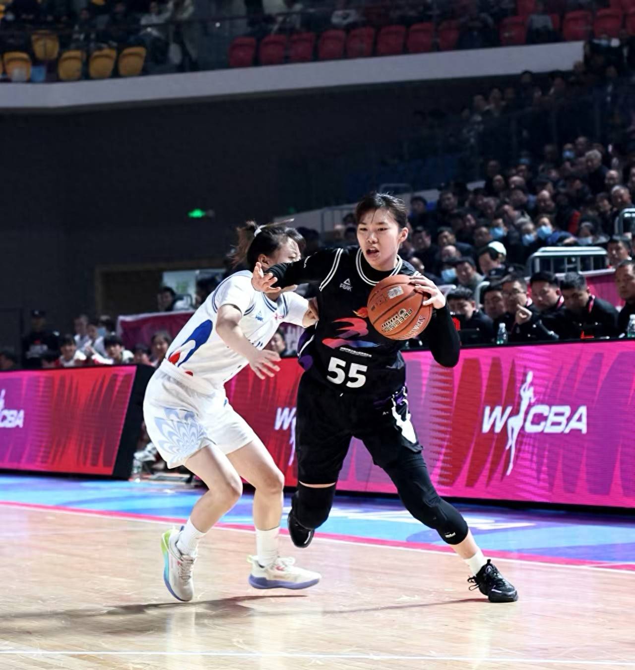 关于河南女篮奋勇争先，取得壮丽胜利的信息